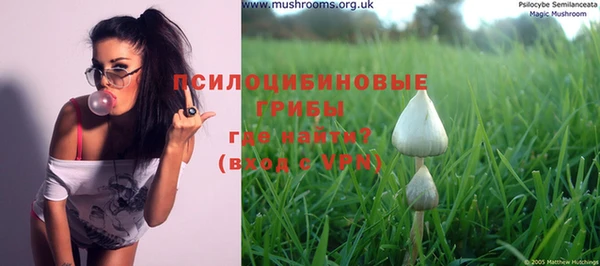PSILOCYBIN Армянск
