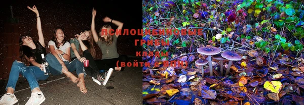 PSILOCYBIN Армянск