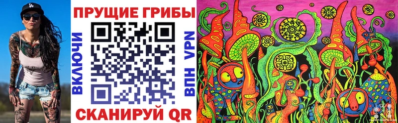 Галлюциногенные грибы Psilocybe  Купить  Кедровый 